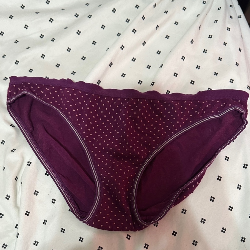 Aerie Purple Polka Dot Bikini Panties